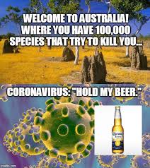 See more ideas about australian memes, aussie memes, memes. Coronavirus Australia Meme Cornoravirus Covid19 Pandemic 2020