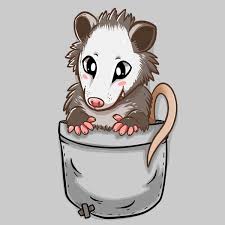 A Cute Little Opossum In Your Pocket They Re Surprising Ly Cute And Funny Looking Rodents Pocket Possum Animal Drawings Cartoon Drawings Cartoon Styles Cartoons―we have all grown up watching these fantasy characters who can define gravity, walk over water and carry out stunts that are not humanly possible. a cute little opossum in your pocket