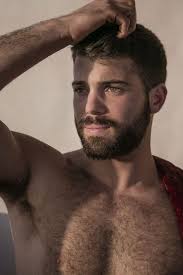 Pin On Hairy Sexy Furry