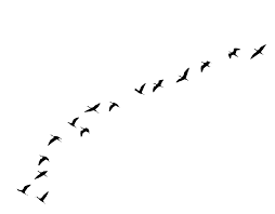 Pin On Artsy Fartsy Resources