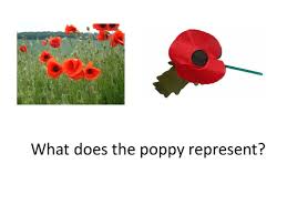 In Flanders Fields Lesson Poetry Analysis Poetry Analysis Activities Remembrance Day