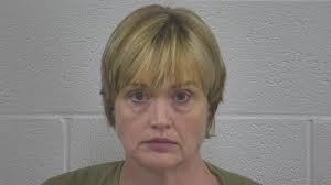 Tennessee woman attempted to hire hitman to kill wife of man she met