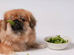 Can Dogs Eat Peas American Kennel Club
