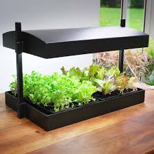 We did not find results for: Potager D Interieur A Lampe De Croissance Horticole Vente Au Meilleur Prix Jardins Animes