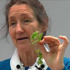 Any suggestions for a unique dog name?