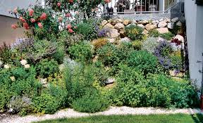 Clever gärtnern, schritt für schritt, gräfe. Pflegeleichter Garten Selbst De