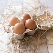 Les Aliments A Eviter Pendant La Grossesse Biodelices