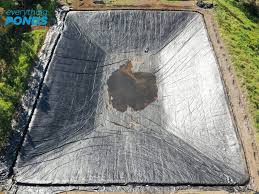 We did not find results for: Large Pond Liners Everything Ponds Com