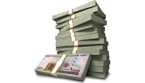 Image result for images of naira