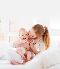 Find pest control services in los angeles, ca for home & commercial pest control, bug and animal removal, ant control, termite inspections and treatment, animal the city of angels, as los angeles is known, is the second largest city in the united states of america. Home Catsusa Pestcontrol California