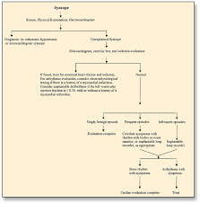Syncope, which can be defined as a transient loss of consciousness caused by transient global cerebral hypoperfusion and characterised by rapid onset, short duration, and spontaneous complete recovery, is a common condition. Clinica Ii 4 Mareo Y Sincope