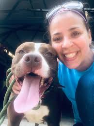 Adopted shelter dog living the good life