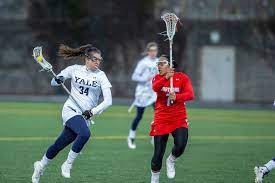 Something Simple Something Small Inside Lacrosse