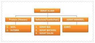 Tumbuhan yang dapat dimanfaatkan seratnya sebagai bahan baku benang untuk membuat kain katun adalah. Jenis Serat Bahan Tekstil Alam