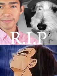 ❤️ ADIOS AMIGO CURLY 🕊️ - Fernanfloo #fyp #fernanfloo #curly #rip #sad  #parati
