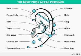 Here Are The Most Popular Ear Piercings And What They Re Called Piercing Namen Ohrpiercing Rook Piercings Ohr