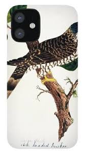 Combine the thoughtfulness of a gift card with the flexibility of money. Tamil Nadu Iphone Cases Fine Art America