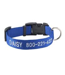 Blueberry classic solid color collar. Personalized Pet Collar At L L Bean