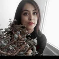 70+ "Ibarra-olvera" profiles