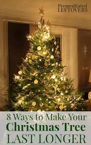 Looking For Ways To Make Your Christmas Tree Last Longer These 8 Helpful Tips Will Show You How To Christmas Tree Care Real Christmas Tree Christmas Tree Water