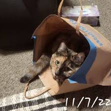 Marge Cross (Nanamarge17)