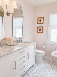 This fabulous champagne color frame has a nice classy look. A Pink Girls Bathroom Remodel The Pink Dream
