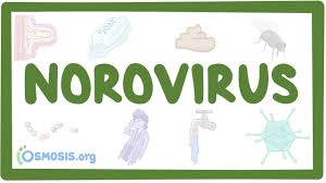 Formulary drug information for this topic. Norovirus