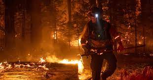 The caldor fire is an active wildfire burning in el dorado county, california, about 15 miles (24 km) southeast of placerville. Fire Official Says Caldor Fire Has Simply Outpaced Us As It Nears Lake Tahoe Cbs News