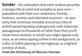 The Definition Of Sonder From The Dictionary Of Obscure Sorrows