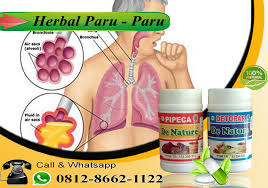 Check spelling or type a new query. Kenali Tanda Dan Gejala Tb Paru Sejak Dini Jangan Anggap Sepele Begini Cara Mengatasinya Konsultan Herbal