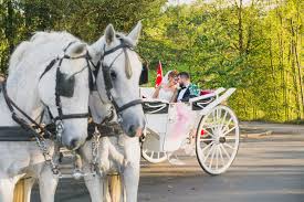 Hier findet ihr alle fragen die in zusammenhang mit deiner hochzeit stehen. Turkischer Hochzeitsfotograf Pixeldreams Fur Die Turkische Hochzeit