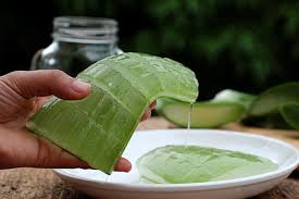For a lightweight mask, mix one cup of apple cider vinegar with a tablespoon of honey (this is used as a binding agent and to keep the moisture from being stripped from the hair and scalp). 8 Homemade Hair Masks To Get Longer And Thicker Hair Instantly Be Beautiful India