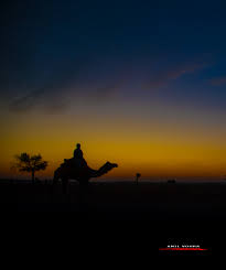 Enjoy the romance of excellent welcome, sunset safari in the desert on camel, dinner with live local music and dance around the fire. Desert Escape At Khuri Anil Vohra