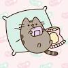 The best gifs for pusheen the cat. Https Encrypted Tbn0 Gstatic Com Images Q Tbn And9gcqoycy1ig0 Taolts3klb9cdxsee42oxkzrmw3edw D3 Zrjqdo Usqp Cau