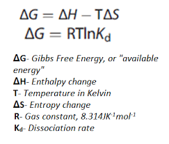 What Is Gibbs Free Energy Equation Google Search Free Energy Free Energy Projects Energy Technology
