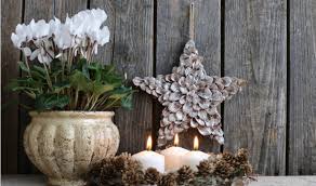 Maybe you would like to learn more about one of these? Best Winter Flowering Plants For Your Garden Containers Taylor Made