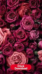 Mrs Gold Must Have Roses Flower Phone Wallpaper Floral Flower Phone Wallpaper Flowers Rose Wallpaper