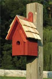 Pin On Birdhouses