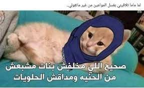 We did not find results for: Pin By Elyasmen Adel On Computer Wallpapr In 2021 Funny Dude Fun Quotes Funny Funny Arabic Quotes