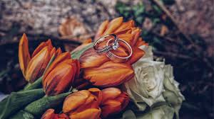 Wedding wallpapers 4k (ultra hd) offers: Wallpaper 4k Tulips Rings Flowers Romance Wedding 4k Flowers Rings Tulips