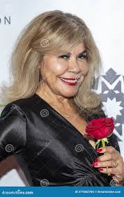 540 Beverly Hill Stock Photos