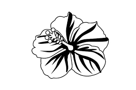 Download Hibiscus Svg Cut File By Creative Fabrica Crafts Creative Fabrica Yellowimages Mockups