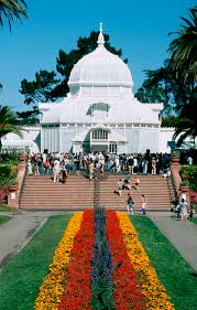 The san francisco conservatory of flowers is located at 100 john f. Welcome