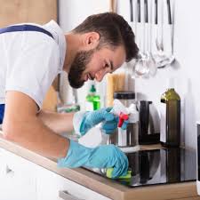 La sal ha sido utilizada como método de protección casero contra espíritus y entidades no deseadas durante siglos. Como Limpiar La Casa A Fondo Consejos Y Trucos