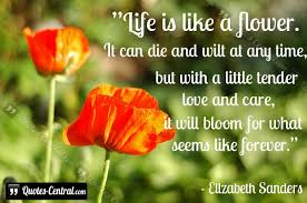 Life Is Like A Flower Quotes Central Com Flower Quotes Life Quotes Quotes To Live By
