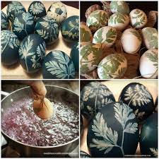 Last Minute Easter Eggs That Are Stunning And Colored Naturally How To Dye Eggs With Red Cabbage And A L Natural Easter Eggs Easter Egg Dye Dying Easter Eggs