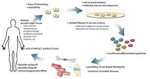 development reproduction