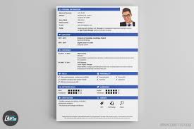 Selecting the right cv to highlight your experiences and skills is very important. Cv Maker Professional Cv Examples Online Cv Builder Craftcv