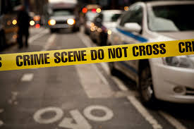 This may include the investigation of drug crimes, firearms, robbery and property crimes. Detective And Criminal Investigator Careers And Schools In New York My Perfect Resume