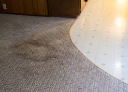 We did not find results for: Carpet Cleaning Mold Can Carpets Be Cleaned